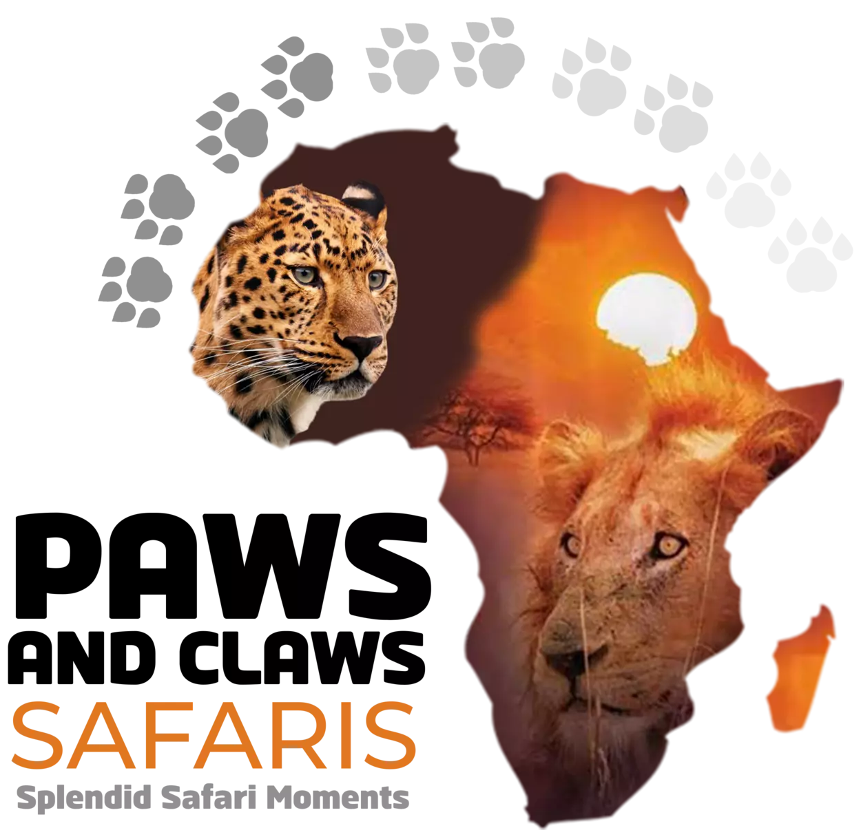 Paws and Claws Safaris
