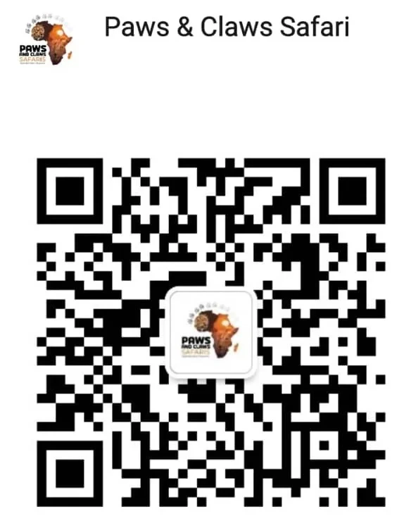 Paws & Claws Safaris - Wechat