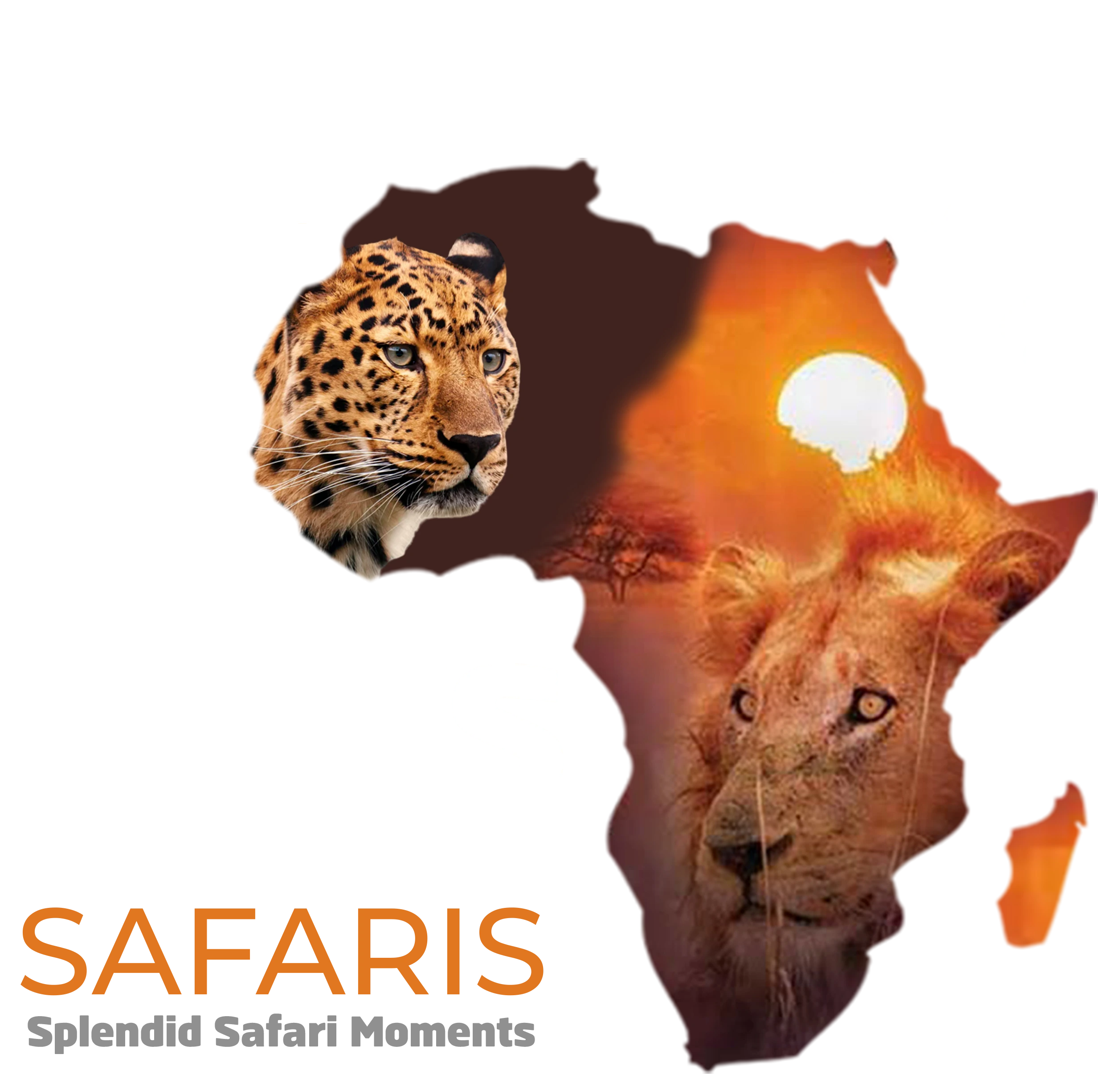 Paws & Claws Safaris