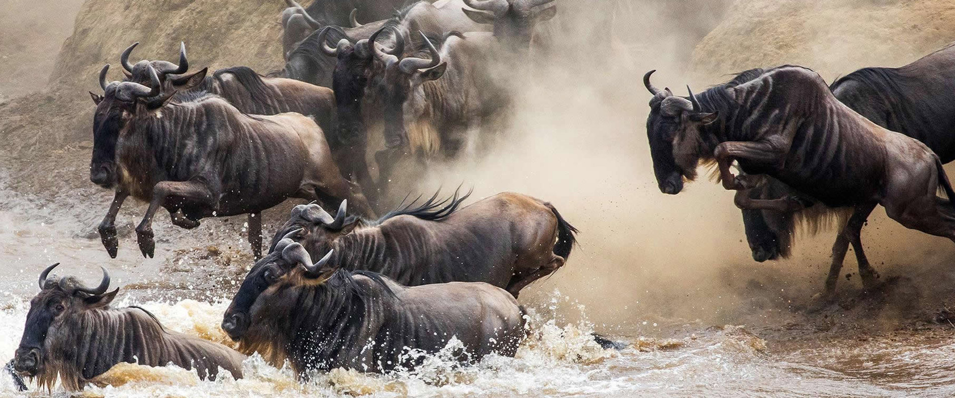 Tanzania Safari Adventure - Serengeti Migration