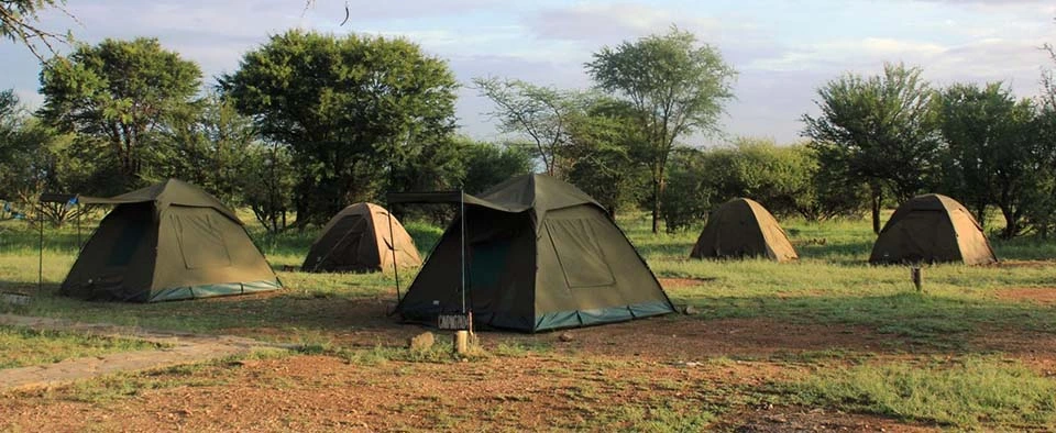 4-Days Tanzania Camping Safari