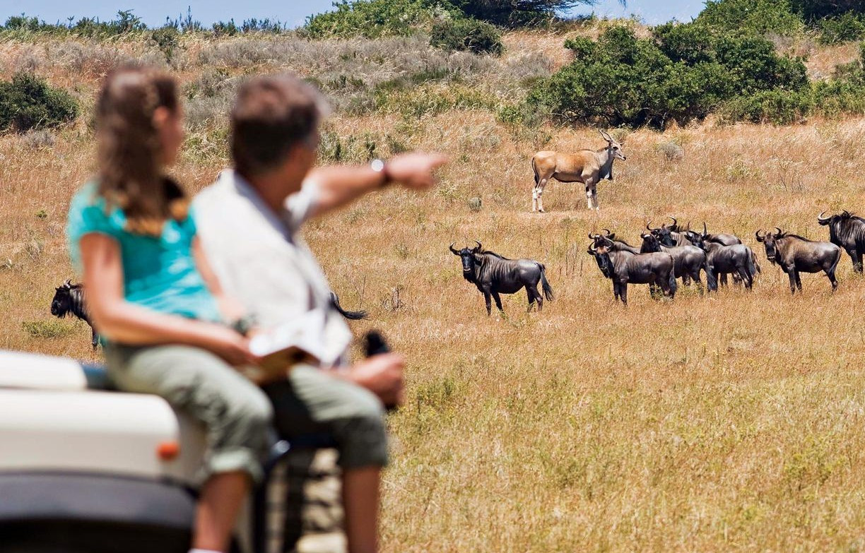 6 Days Best Tarangire, Serengeti, Ngorongoro & Manyara