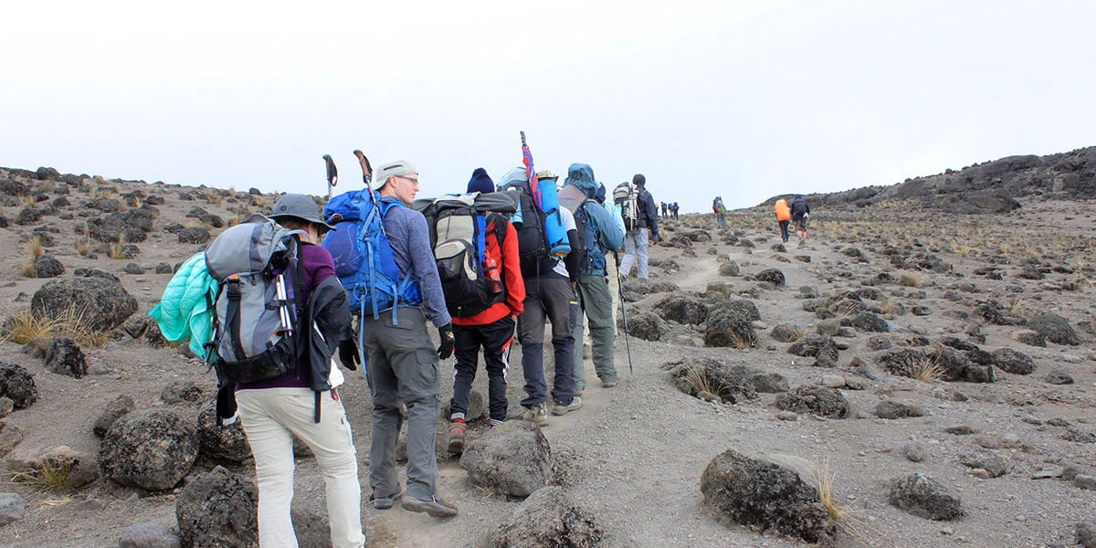 8-Day Umbwe Route to Kilimanjaro